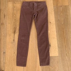 Purple Corduroy jeans